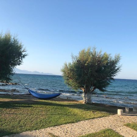Diomare Villas Kypseli المظهر الخارجي الصورة