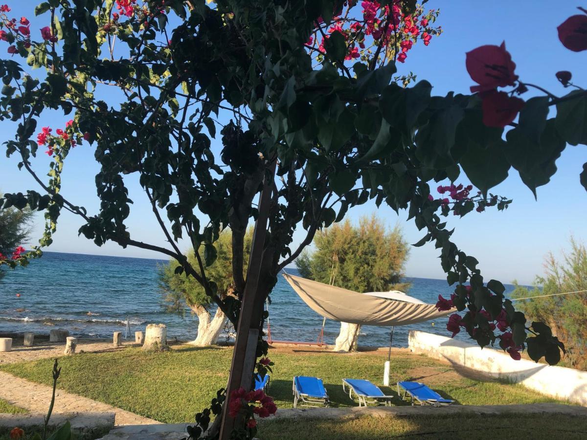 Diomare Villas Kypseli المظهر الخارجي الصورة